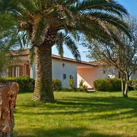 Agriturismo Sa Suerera Олмедо Екстериор снимка